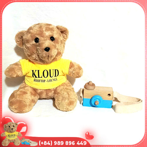 Small teddy bear gift